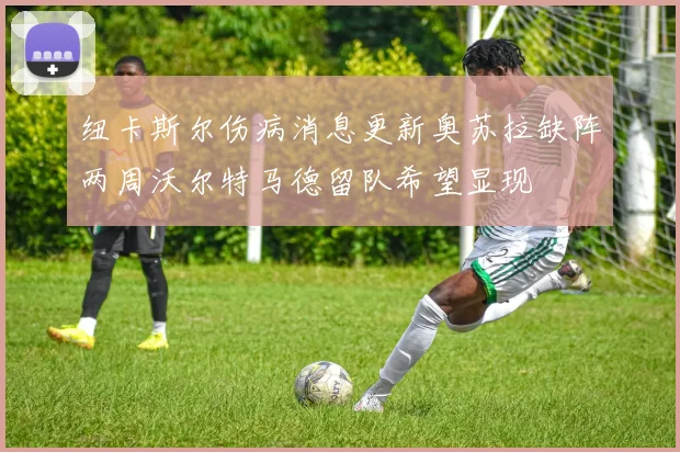 纽卡斯尔伤病消息更新奥苏拉缺阵两周沃尔特马德留队希望显现